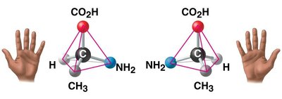 Chirality illustrated with hands and molecular models