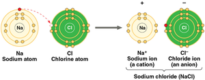 Diagram showing sodium and chlorine atoms forming ions and sodium chloride