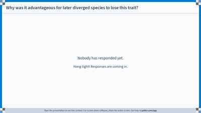 Mould growing on decaying food (Zygomycetes)