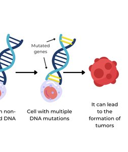 DNA mutations leading to tumor formation