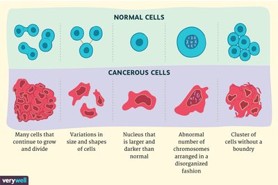 Comparison of normal and cancerous cells