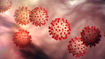 SARS-CoV-2 virus particles