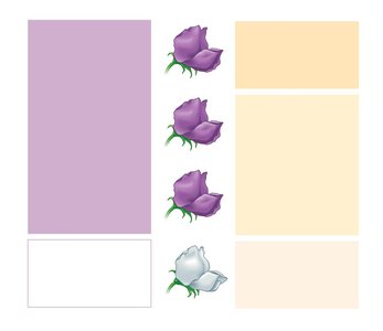 Phenotype and genotype ratios in Mendel's crosses