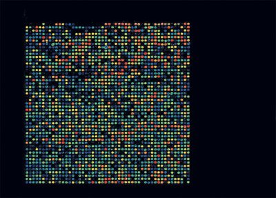 DNA microarray showing gene expression patterns