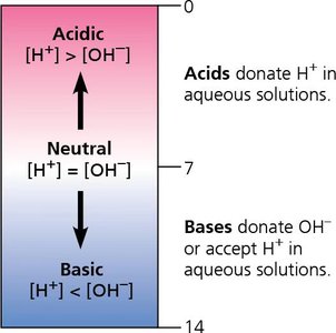 pH scale showing acidic, neutral, and basic regions with definitions