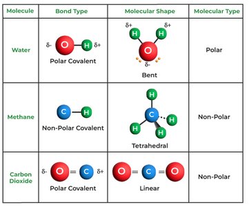 Table comparing water, methane, and carbon dioxide bond types and polarity