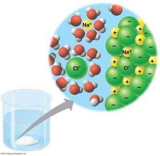 Dissolving NaCl in water, showing hydration shells around ions