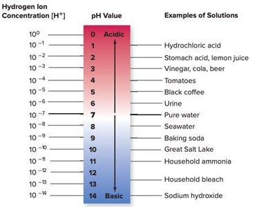 pH scale with examples of solutions