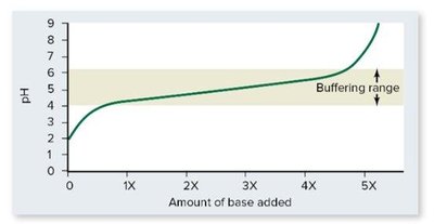 Buffering range graph