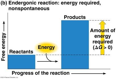Endergonic reaction energy diagram