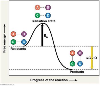 Activation energy diagram