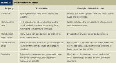 Table of water properties and their biological benefits