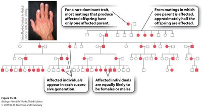 Pedigree of a dominant trait