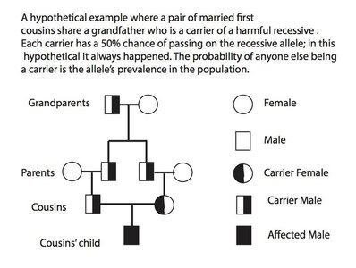 Cultural taboos against consanguinity