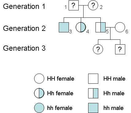 Pedigree for sickle cell trait