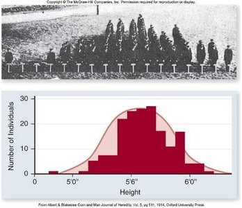 Distribution of human height as a polygenic trait