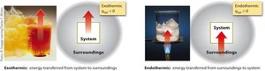 Exothermic and endothermic processes