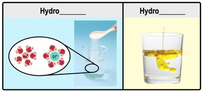 Comparison of hydrophilic and hydrophobic substances in water