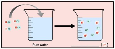Addition of hydrochloric acid to water increases H+ concentration