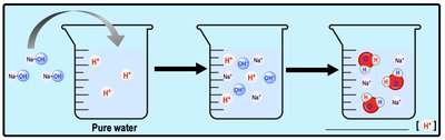 Addition of sodium hydroxide to water decreases H+ concentration