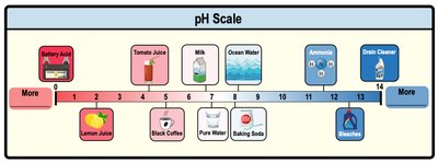 Diagram showing pH scale balance between acids and bases
