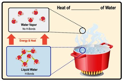 Diagram of heat of vaporization in water