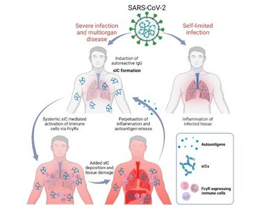 Inflammation caused by viral infection