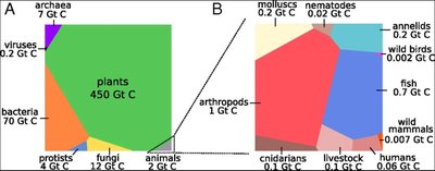 Proportion of total biomass on Earth: viruses, bacteria, plants, animals, etc.