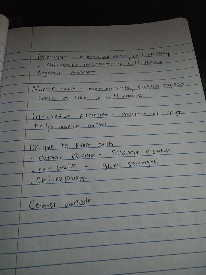 Handwritten biology notes on cytoskeleton and plant cell features