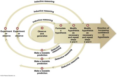 Diagram of the steps of the scientific method