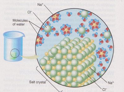 Diagram showing how water dissolves salt ions
