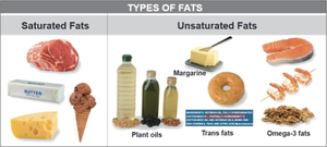 Types of fats: saturated, unsaturated, trans, omega-3