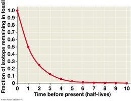 Graph showing fraction of isotope remaining in fossil over time (half-lives)
