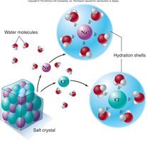 Dissolving of salt crystal in water, showing hydration shells