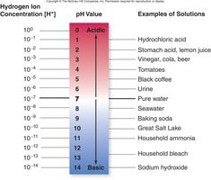 pH scale with examples of solutions
