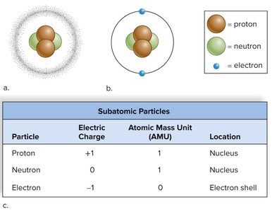 Table of elements and their abundance in the human body