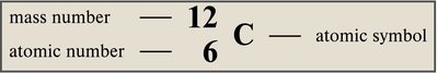 Table of elements and their abundance in the human body