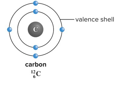 Electron shell diagrams for H, C, N, O, P, S