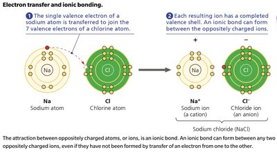 Covalent bond sharing