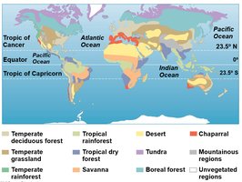 World map showing distribution of major terrestrial biomes