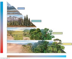 Diagram showing relationship between temperature, precipitation, and biome type