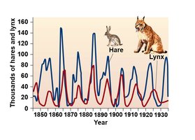 Graph showing population cycles of hare and lynx