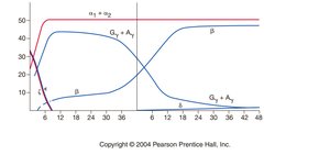 Graph showing fetal and adult hemoglobin expression
