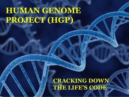 Human Genome Project: Cracking down the life's code