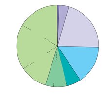 Pie chart of genome composition: exons, introns, regulatory sequences, repetitive DNA