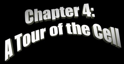 Chapter 4: A Tour of the Cell