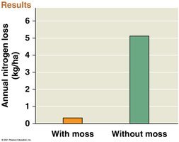 Graph showing nitrogen loss with and without moss