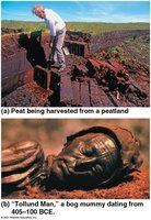 Peat harvesting and bog mummy