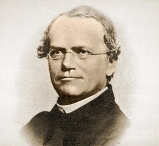 Portrait of Gregor Mendel