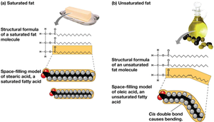 Saturated and unsaturated fats